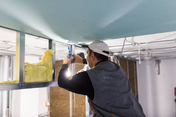 Best Energy Efficiency Insulation in North Alamo, TX