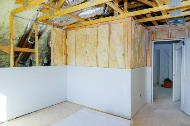 Professional Insulation Contractor in North Alamo, TX