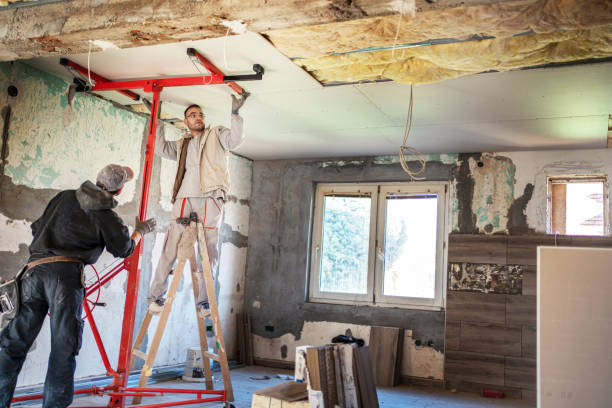 Best Blown-in Insulation in North Alamo, TX