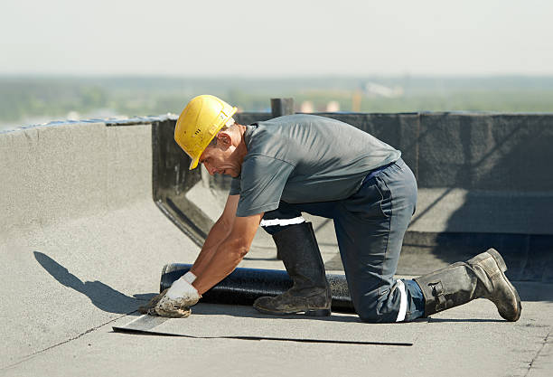 Best DIY Insulation Kits and Guidance in North Alamo, TX