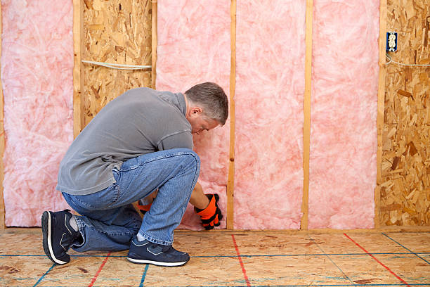 Best Cellulose Insulation in North Alamo, TX