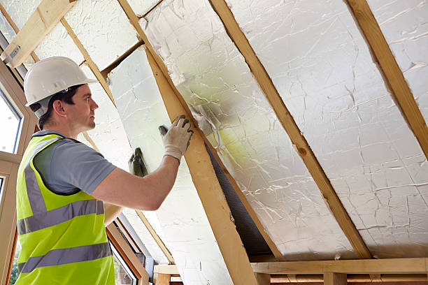 Best Eco-Friendly Insulation in North Alamo, TX